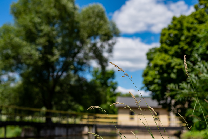 Otoczenie elektrowni wodnej