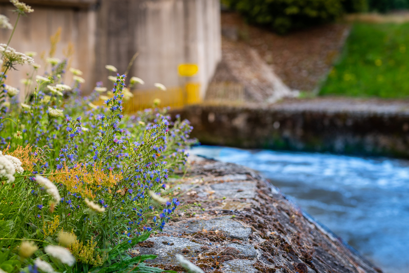 Otoczenie elektrowni wodnej
