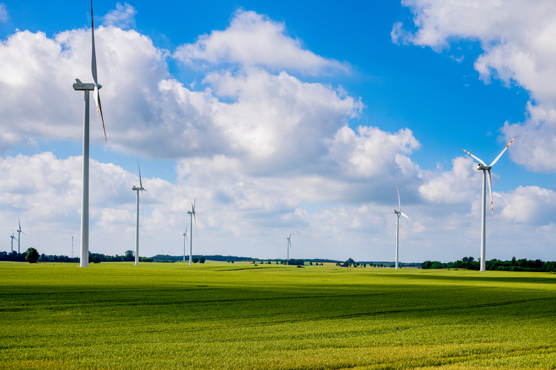 Widok na wiatraki w tle zielone pole rolne